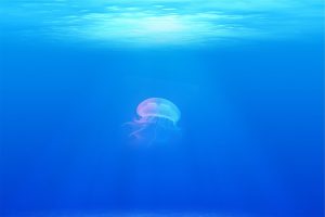 Mind Dive App Meditation science music and documentaries